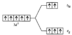 Co-ordination Compounds mcq option image