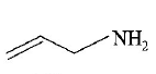 Organic Compounds Containing Nitrogen mcq option image