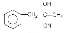 Carboxylic Acid mcq option image