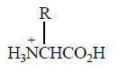 Biomolecules mcq option image