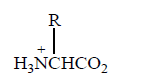 Biomolecules mcq option image