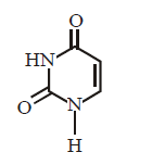 Biomolecules mcq option image
