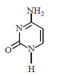 Biomolecules mcq option image