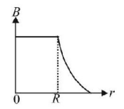Magnetic Effect of Current mcq option image
