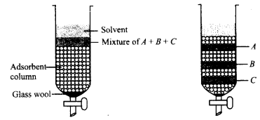 General Organic Chemistry mcq question image