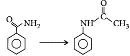 Organic Compounds Containing Nitrogen mcq question image