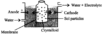Surface Chemistry mcq question image