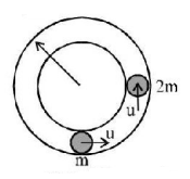 Work Energy and Power mcq question image