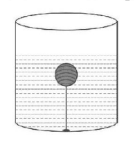Mechanical Properties of Solids and Fluids mcq question image
