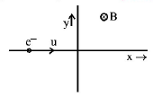 Magnetic Effect of Current mcq question image