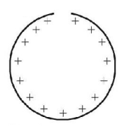 Electric Field mcq question image