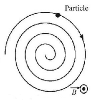 Magnetic Effect of Current mcq question image