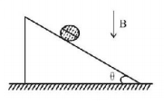 Magnetic Effect of Current mcq question image