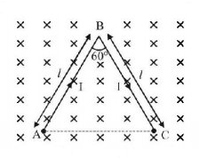 Magnetic Effect of Current mcq question image