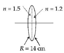 Ray Optics mcq question image