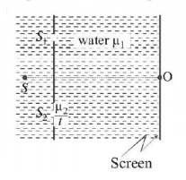 Wave Optics mcq question image