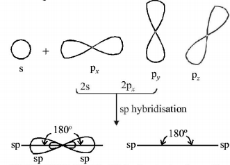 Chemical Bonding and Molecular Structure mcq solution image