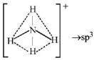 Chemical Bonding and Molecular Structure mcq solution image