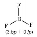 Chemical Bonding and Molecular Structure mcq solution image