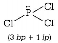 Chemical Bonding and Molecular Structure mcq solution image