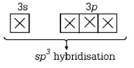 Chemical Bonding and Molecular Structure mcq solution image