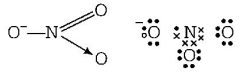 Chemical Bonding and Molecular Structure mcq solution image