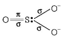 Chemical Bonding and Molecular Structure mcq solution image