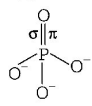 Chemical Bonding and Molecular Structure mcq solution image