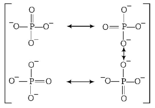 Chemical Bonding and Molecular Structure mcq solution image