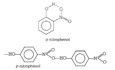 Chemical Bonding and Molecular Structure mcq solution image