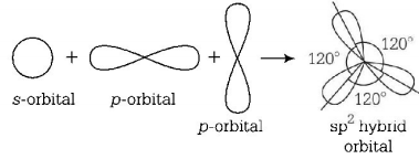 Chemical Bonding and Molecular Structure mcq solution image