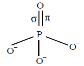Chemical Bonding and Molecular Structure mcq solution image