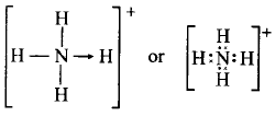 Chemical Bonding and Molecular Structure mcq solution image