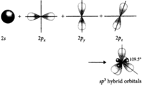 Chemical Bonding and Molecular Structure mcq solution image