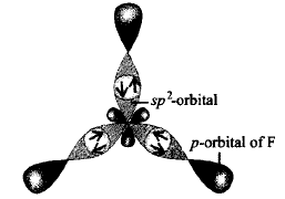 Chemical Bonding and Molecular Structure mcq solution image