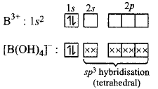P - Block Elements mcq solution image