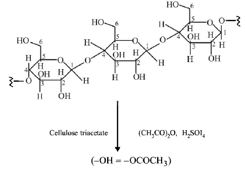 Biomolecules mcq solution image