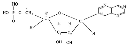 Biomolecules mcq solution image