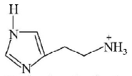 Biomolecules mcq solution image