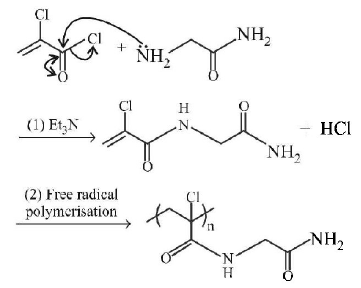 Biomolecules mcq solution image