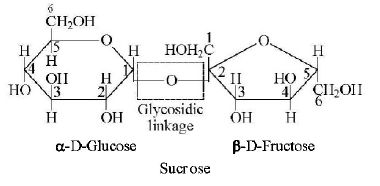 Biomolecules mcq solution image