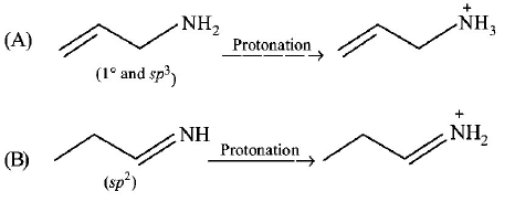Organic Compounds Containing Nitrogen mcq solution image