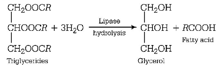 Alcohol, Phenol and Ether mcq solution image
