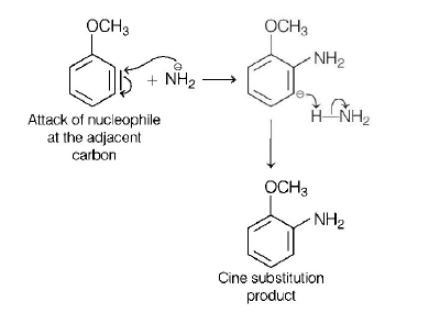 Organic Compounds Containing Nitrogen mcq solution image
