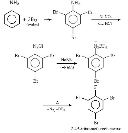 Organic Compounds Containing Nitrogen mcq solution image
