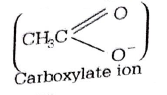 Alcohol, Phenol and Ether mcq solution image