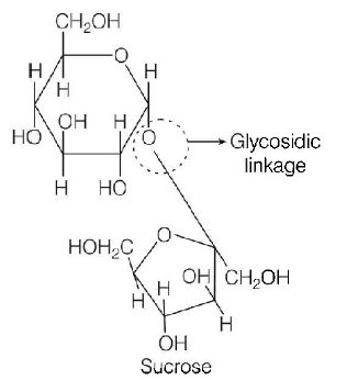 Biomolecules mcq solution image
