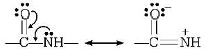 Biomolecules mcq solution image