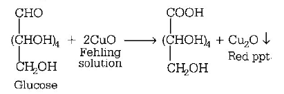 Biomolecules mcq solution image