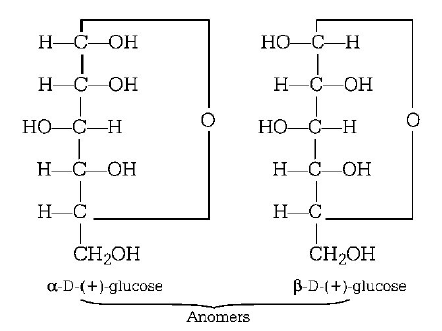 Biomolecules mcq solution image
